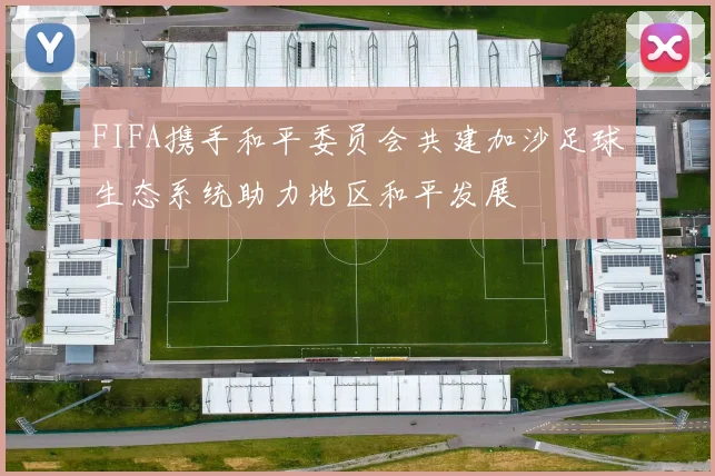 FIFA携手和平委员会共建加沙足球生态系统助力地区和平发展