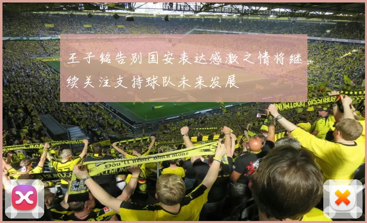 王子铭告别国安表达感激之情将继续关注支持球队未来发展